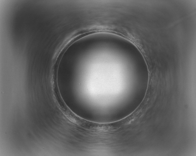 X0000069820103200605221241