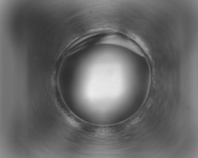 X0000069820105200605221241