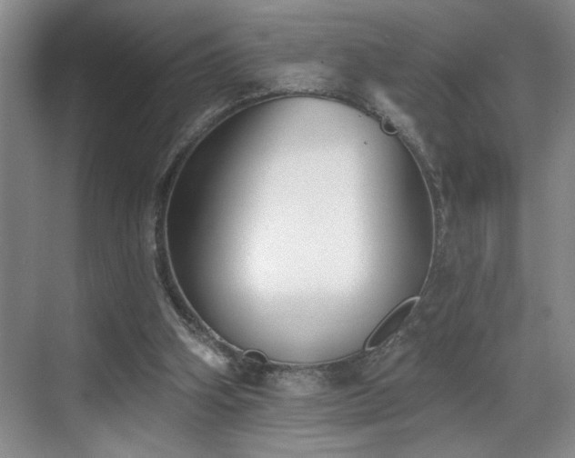 X0000069820106200605221241