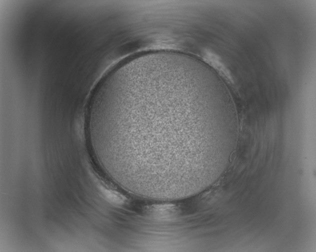 X0000069820108200605221241