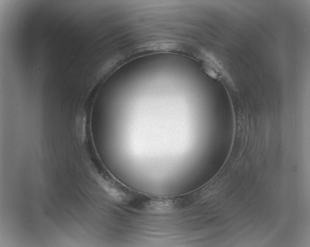 X0000069820110200605221241