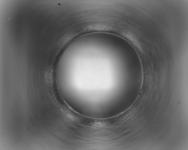 X0000069820111200605221240