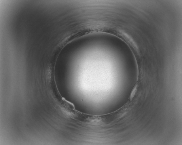 X0000069820113200605221240