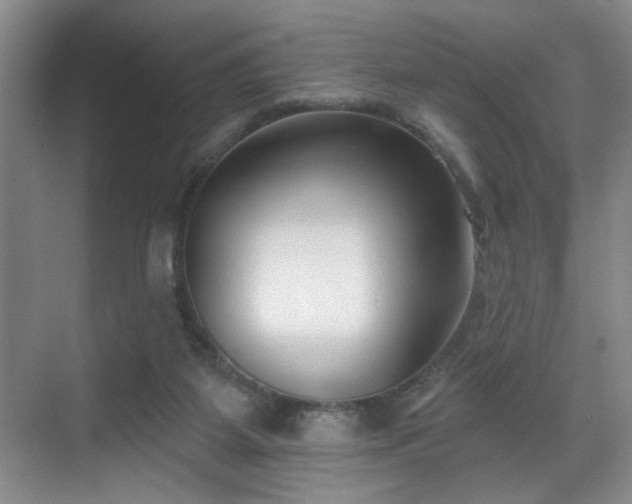 X0000069820115200605221240