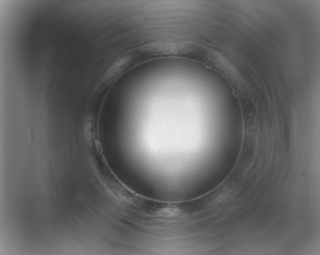 X0000069820119200605221240