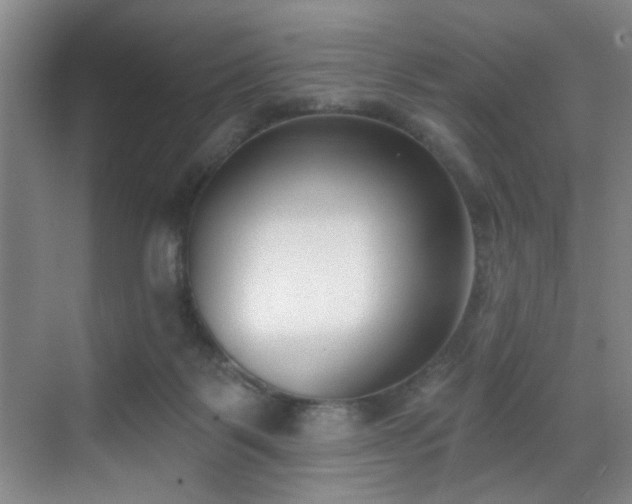 X0000069820123200605221240
