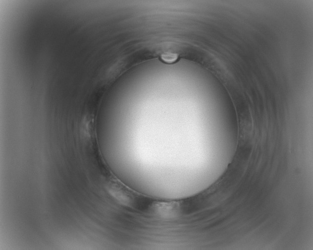 X0000069820126200605221240