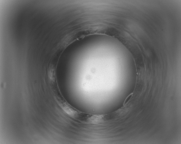 X0000069820138200605221240