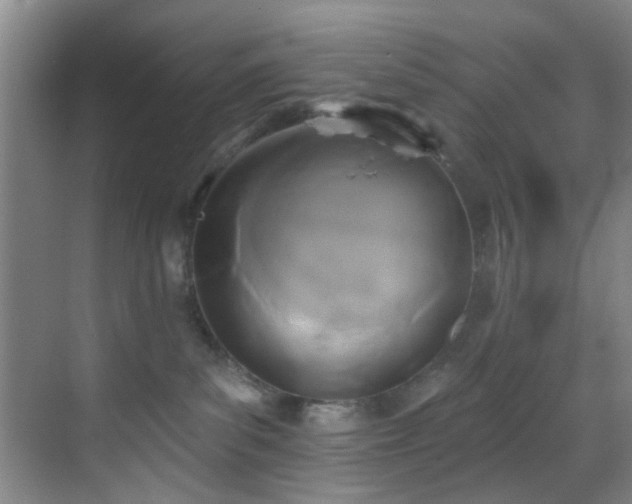 X0000069820139200605221240