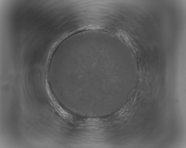 X0000069820145200605221239