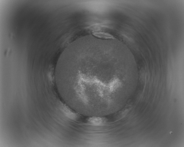 X0000069820181200605221240