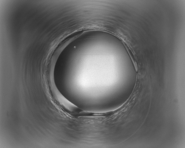 X0000069820193200605221239