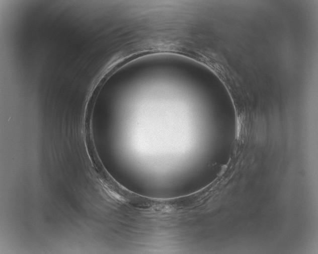 X0000069820195200605221239