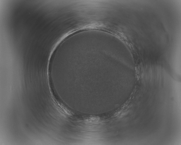 X0000069820196200605221239