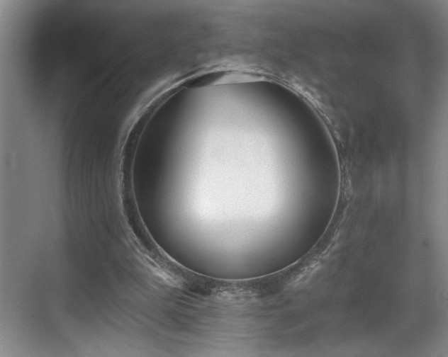 X0000069820199200605221239
