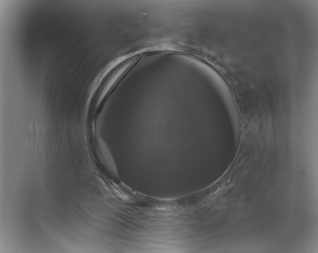 X0000069820200200605221239