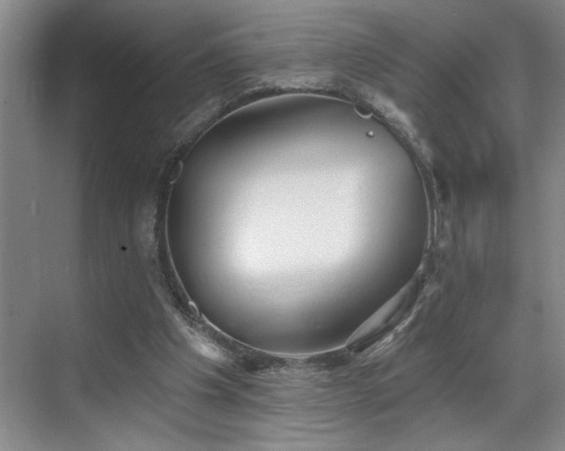 X0000069820201200605221239