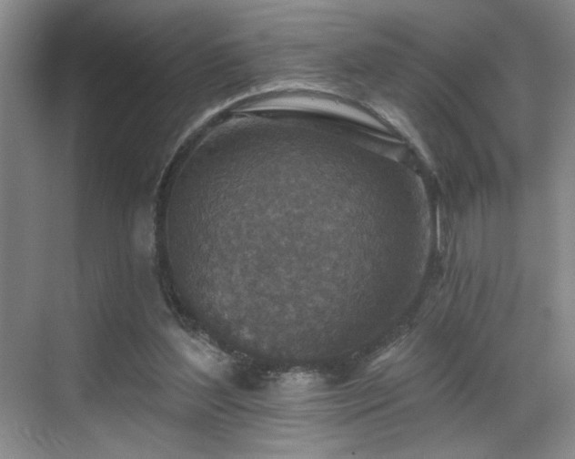 X0000069820204200605221239