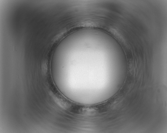 X0000069820208200605221239