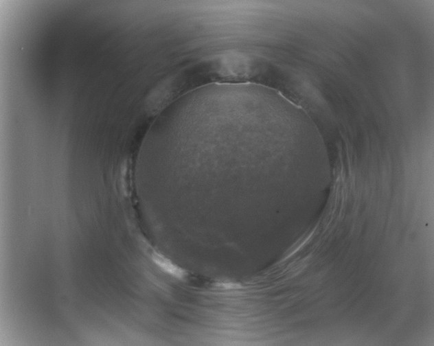 X0000069820233200605221238