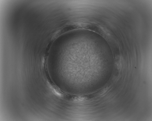 X0000069820235200605221238