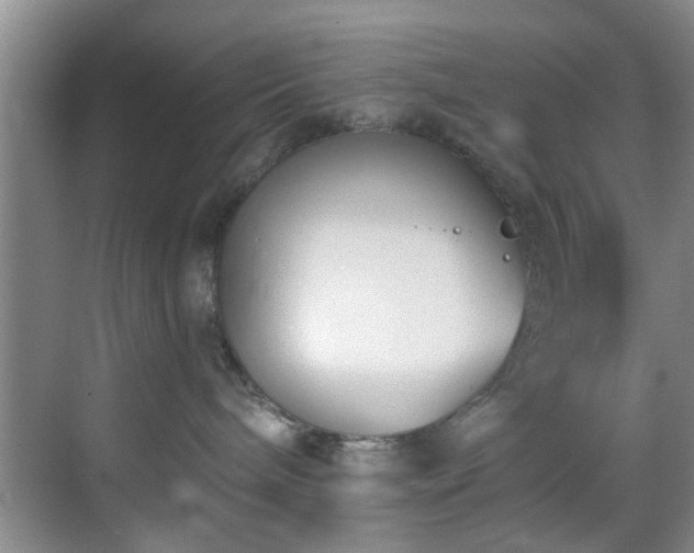 X0000069820240200605221238