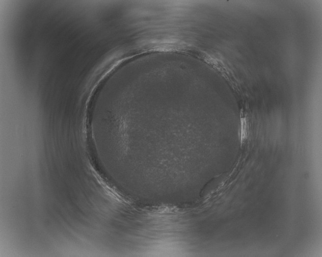 X0000069820243200605221237