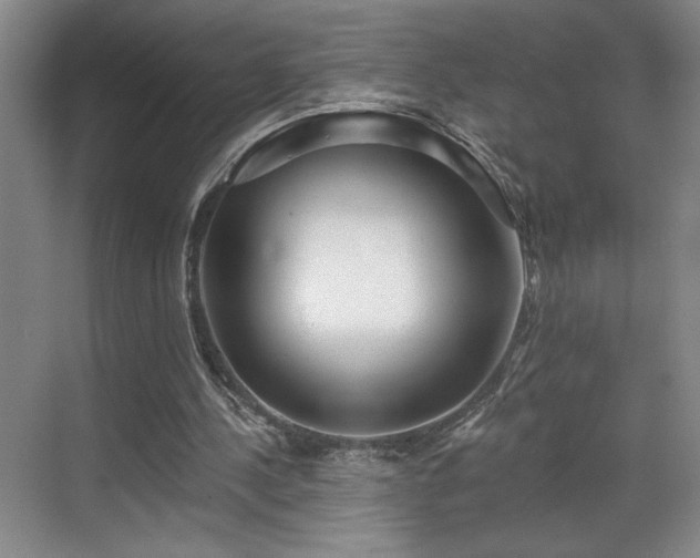 X0000069820244200605221237