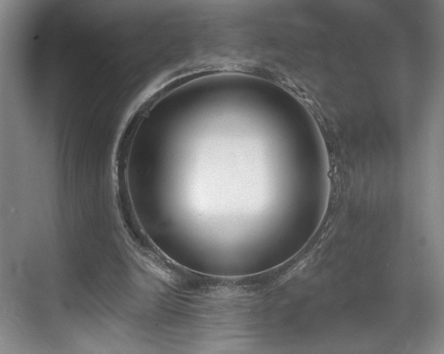 X0000069820246200605221238
