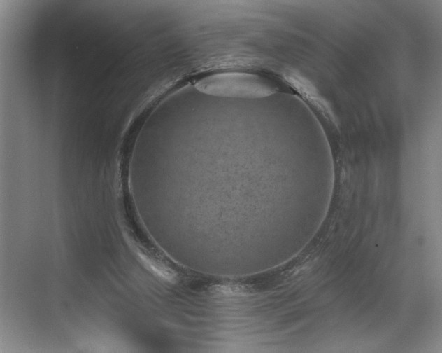 X0000069820250200605221238