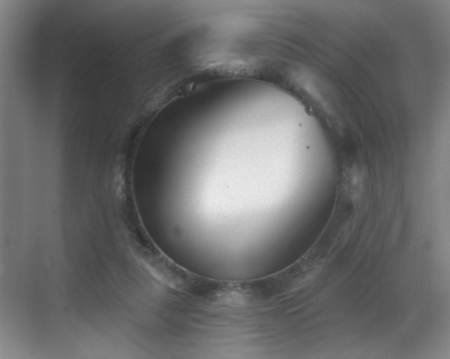 X0000069820259200605221238