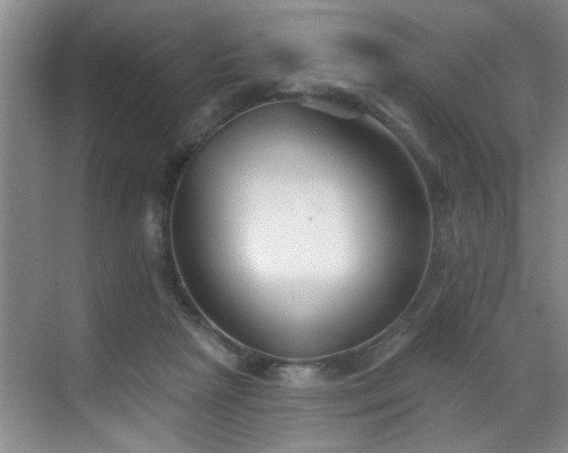 X0000069820265200605221238