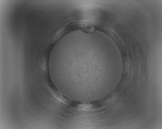 X0000069820266200605221238