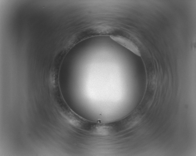 X0000069820268200605221238