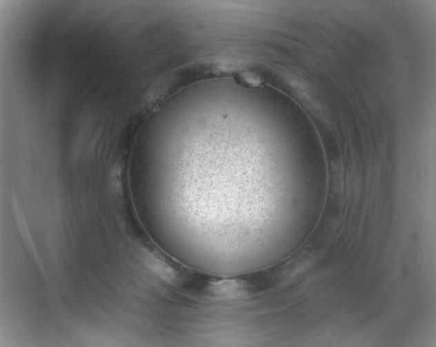 X0000069820269200605221238