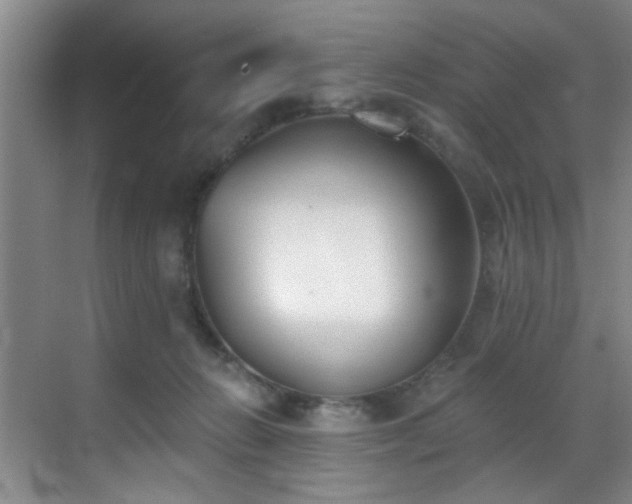 X0000069820270200605221238