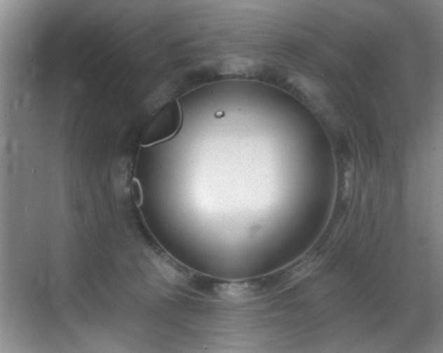 X0000069820273200605221238