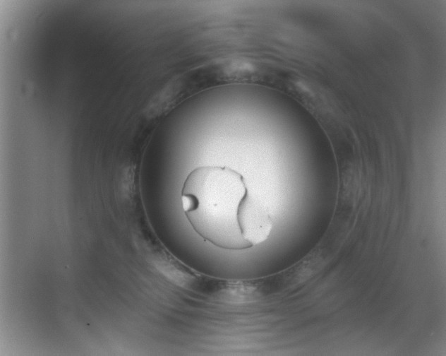 X0000069820278200605221238