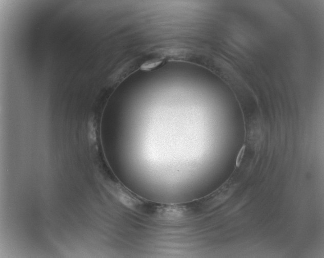 X0000069820282200605221238