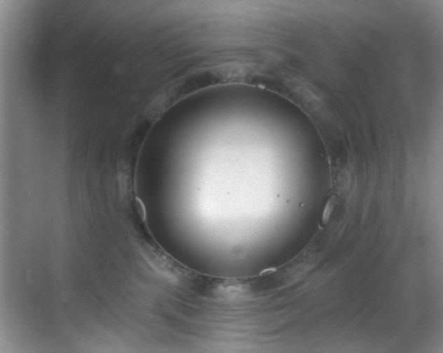 X0000069820283200605221238