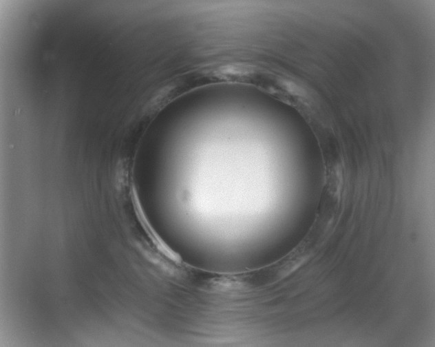 X0000069820284200605221238