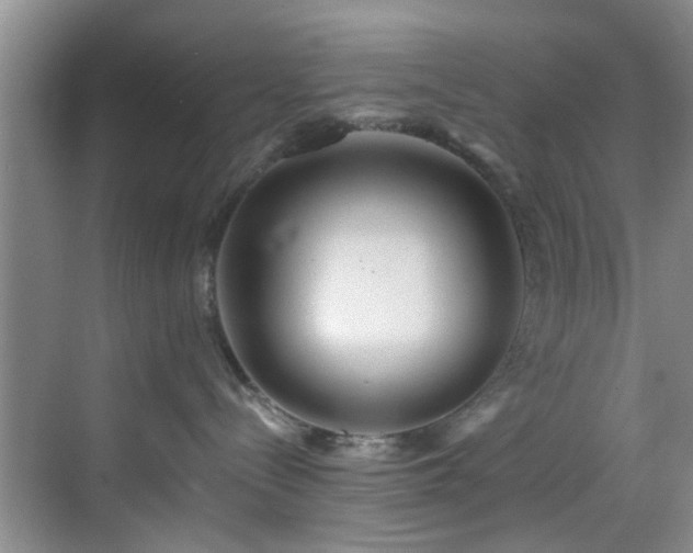 X0000069820288200605221238