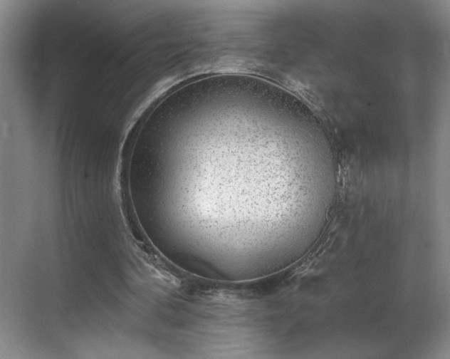 X0000069820292200605221237