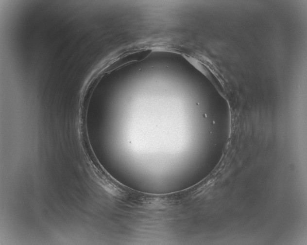 X0000069820293200605221237