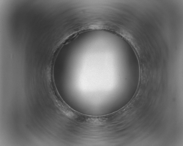 X0000069820297200605221237