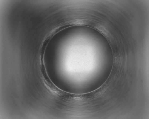 X0000069820302200605221237