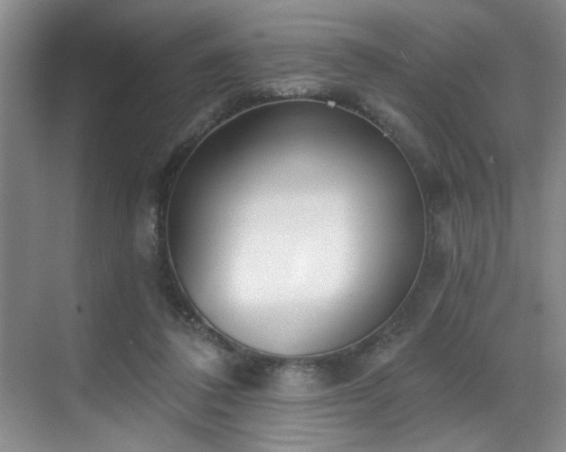 X0000069820308200605221237