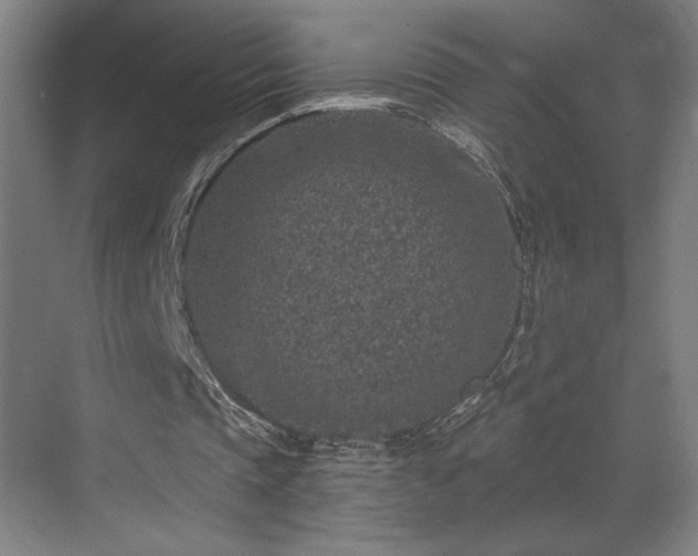 X0000069820337200605221236