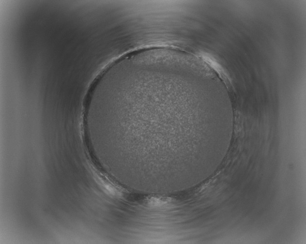 X0000069820346200605221236