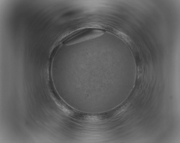 X0000069820349200605221236